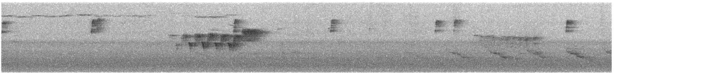 stryparula - ML164300511