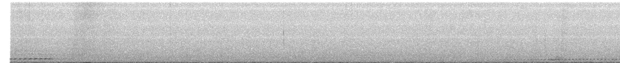 Grallaire ondée - ML164355391