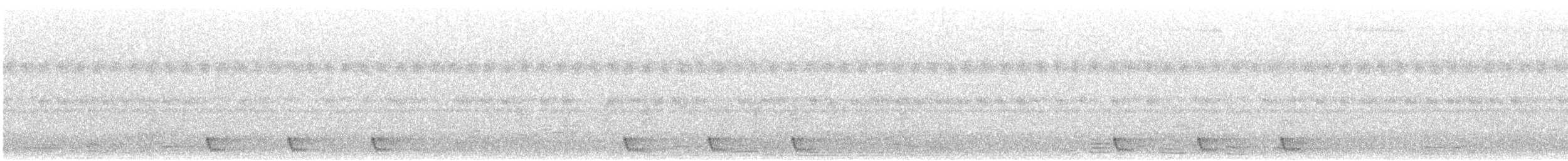 Large-tailed Nightjar - ML164362761