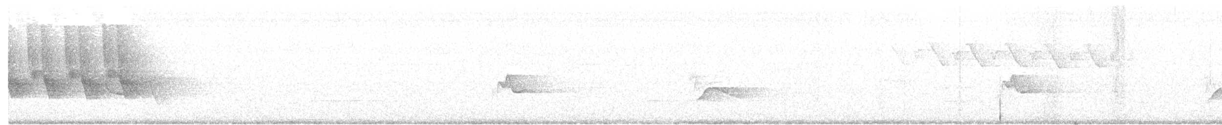 フタスジモズモドキ - ML164368331