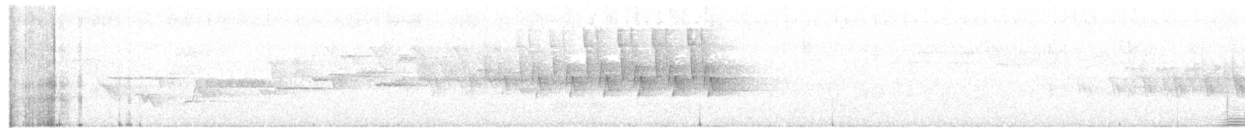 フユミソサザイ - ML164368451