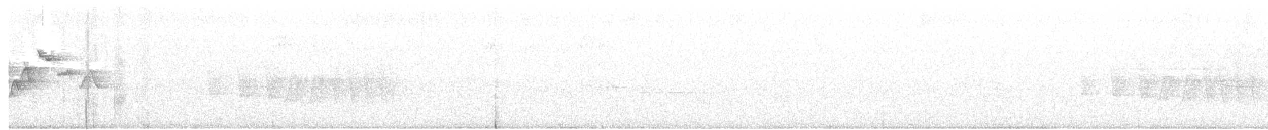 シロオビアメリカムシクイ - ML164368571