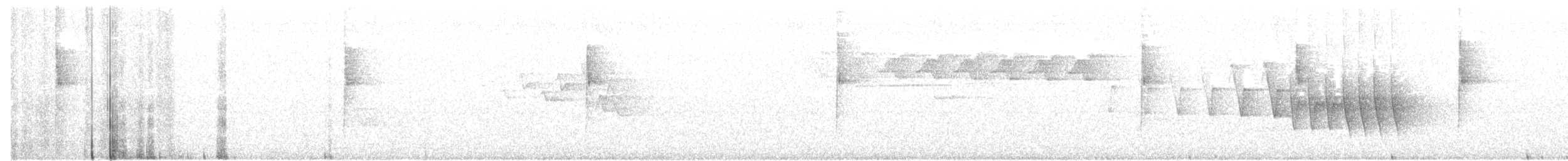 シロオビアメリカムシクイ - ML164368591