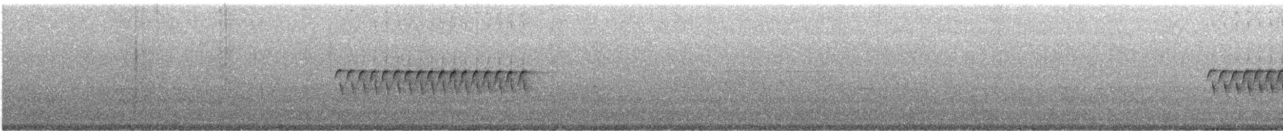 Dark-eyed Junco (Slate-colored) - ML164410431