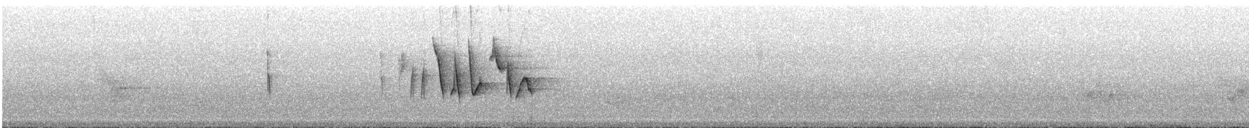 Canada Warbler - ML164410621