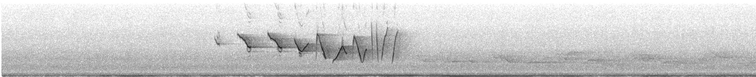 Louisiana Waterthrush - ML164411101