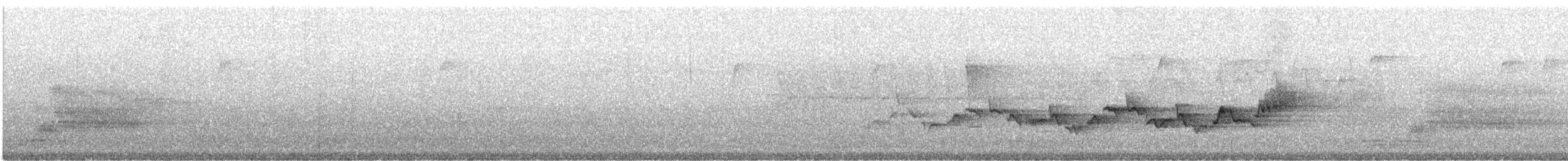 Eastern Warbling Vireo - ML164415111