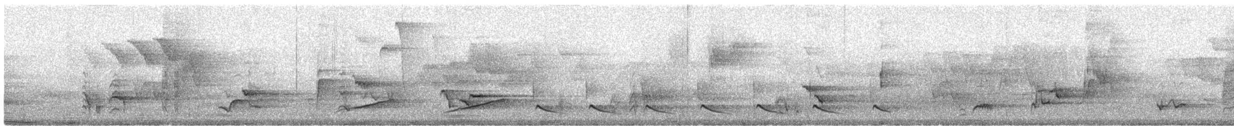 Northern Cardinal - ML164415301