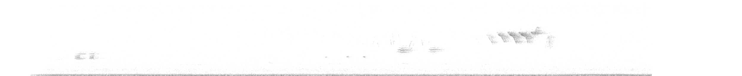 Candelita Norteña - ML164416011