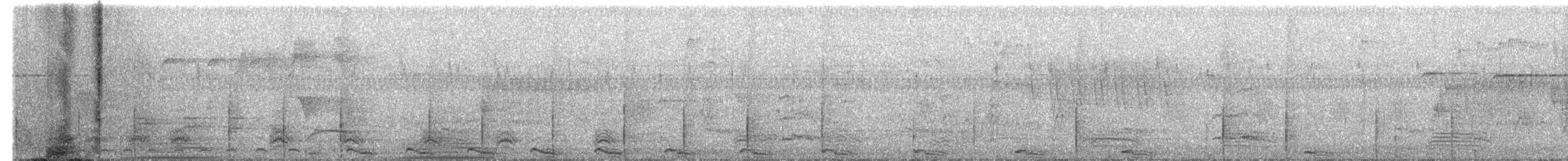 Willow Flycatcher - ML164419271