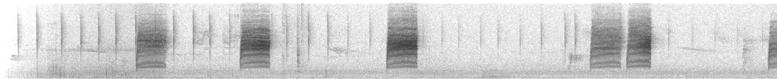 Troglodyte de Bewick - ML164446181