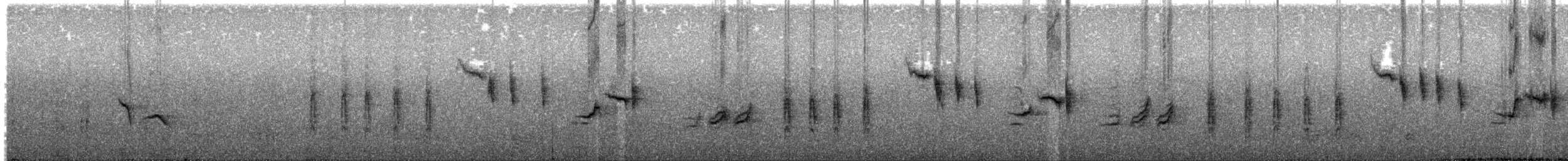 Очеретянка садова - ML164448841