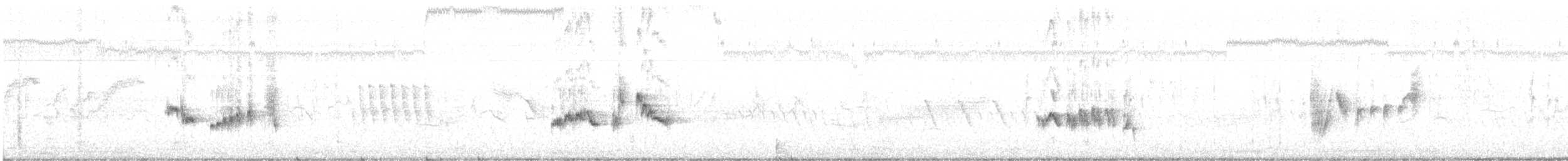 hekkskvett (galactotes gr.) - ML164468891