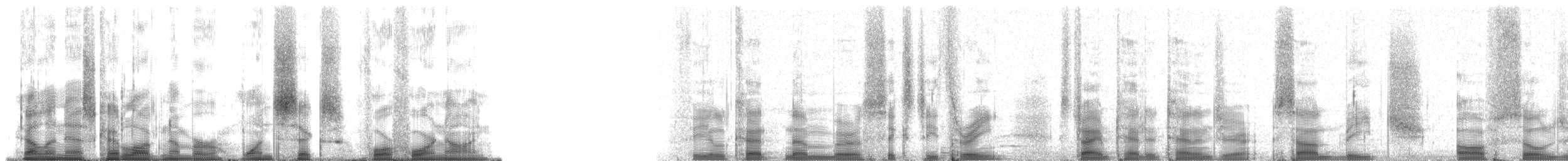 Küba Spindalı (zena) - ML16449