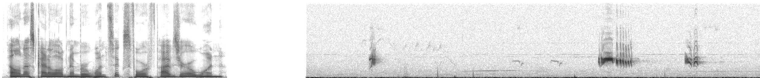 Long-tailed Thrush - ML164501