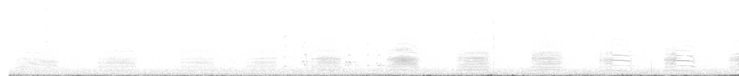 Yellow-tailed Black-Cockatoo - ML164535891