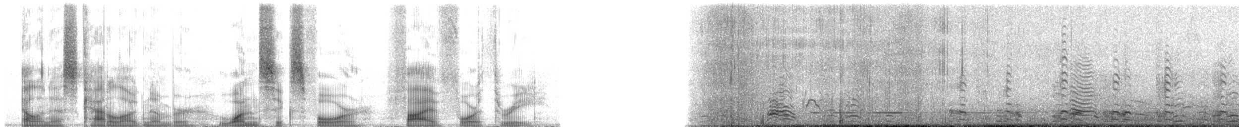 Iceland Gull (Thayer's) - ML164543