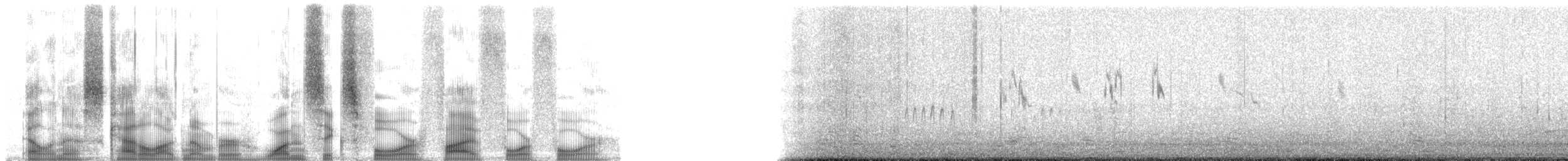 Iceland Gull (Thayer's) - ML164544