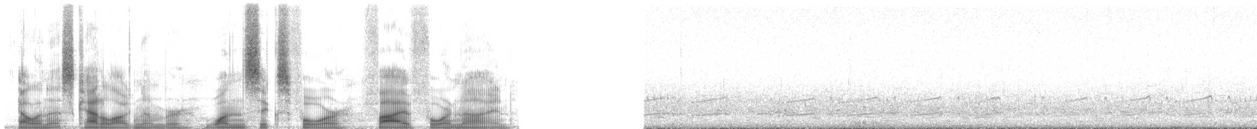 Plectrophane de Smith - ML164549