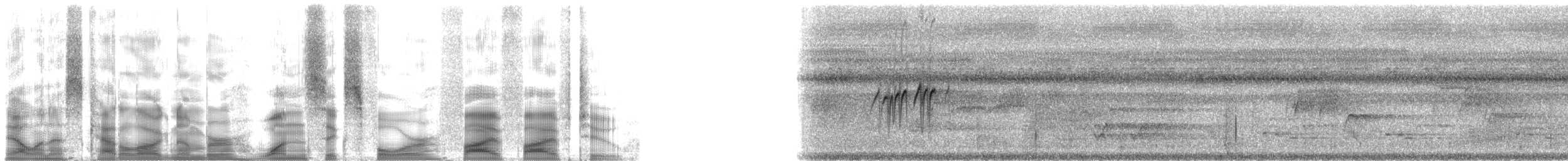 Ashy Minivet - ML164552