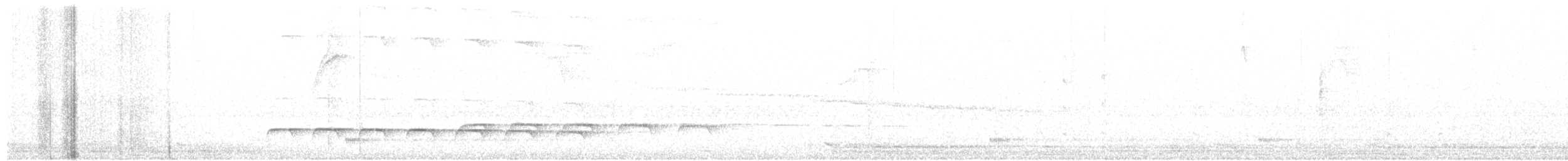 Weißbinden-Ameisenvogel - ML164556621
