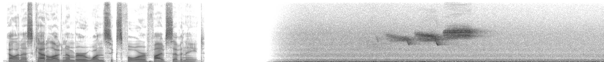 lesňáček modrohřbetý - ML164578