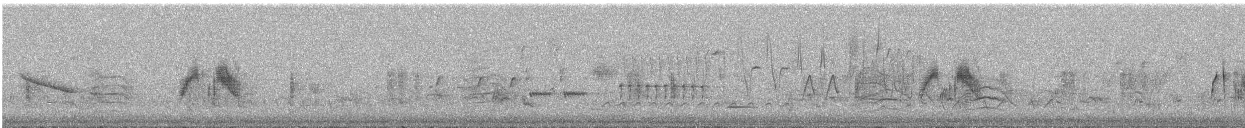 tyranovec vrbový - ML164599561