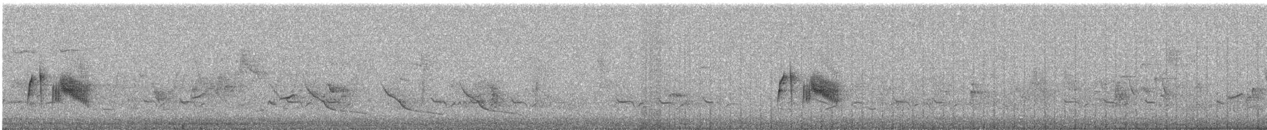 tyranovec vrbový - ML164599571