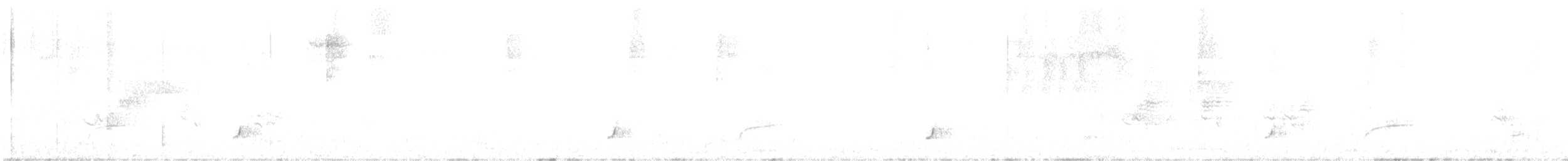 Дрізд-короткодзьоб Cвенсона - ML164602521