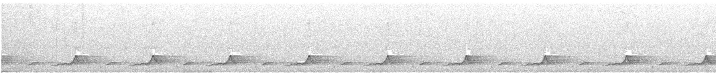 Eastern Whip-poor-will - ML164608621