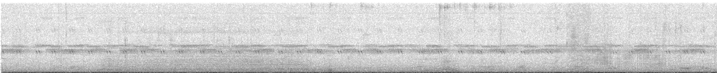 Aura Gallipavo - ML164624121