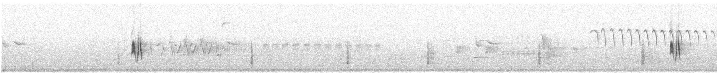 Trockenbusch-Schnäppertyrann - ML164630861