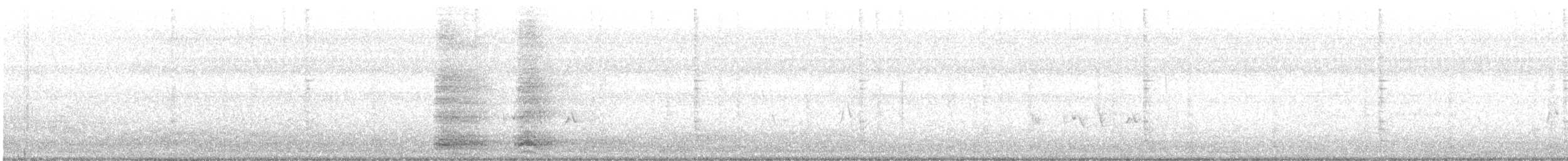 Pied Crow - ML164638891