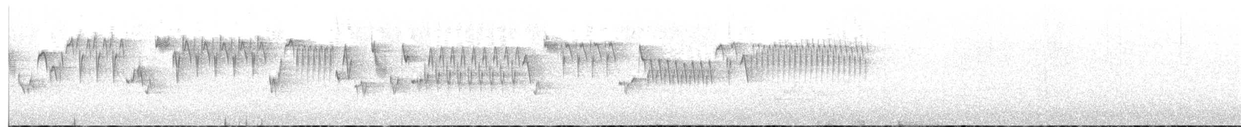 Troglodyte de Baird - ML164641731