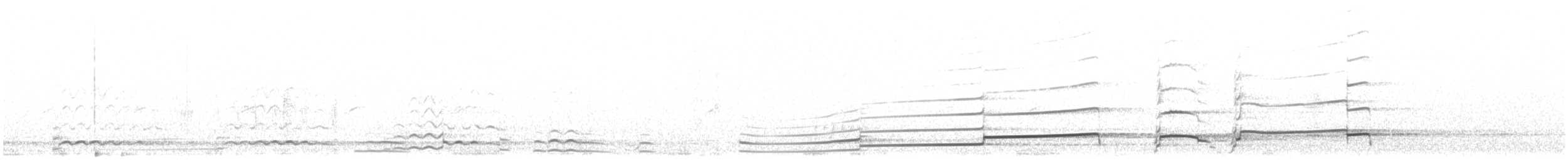 Plongeon huard - ML164644491