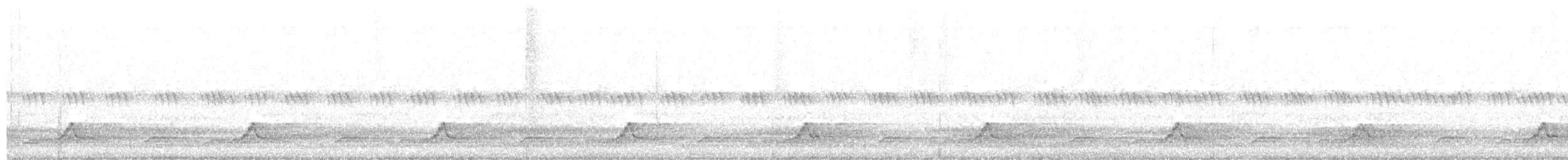 Schwarzkehl-Nachtschwalbe - ML164679151