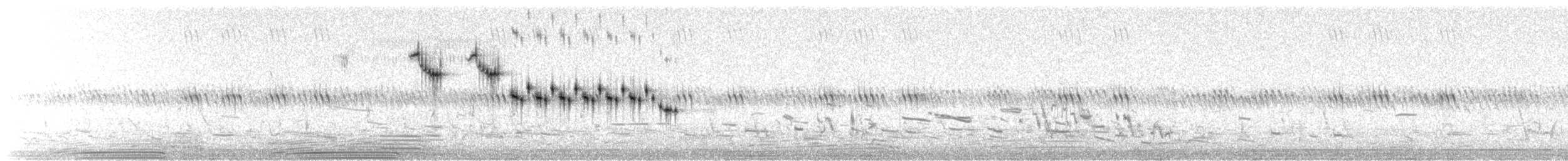 Baird's Sparrow - ML164719781