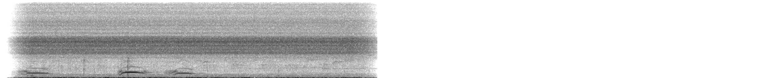 holub skvrnkoprsý - ML164734281
