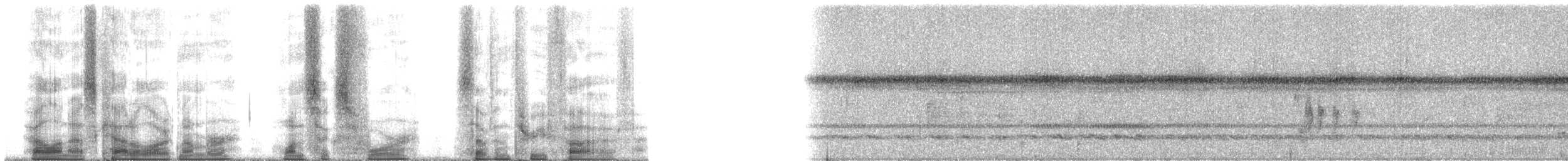 nordpotu (jamaicensis/abbotti) - ML164735