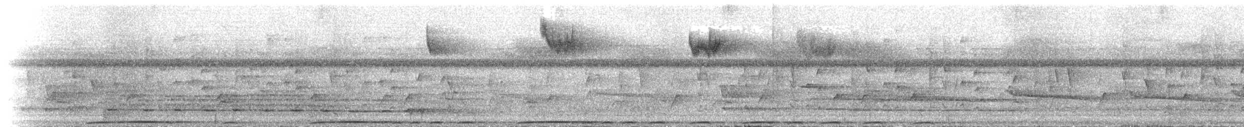 Finsch's Pygmy-Parrot - ML164735011