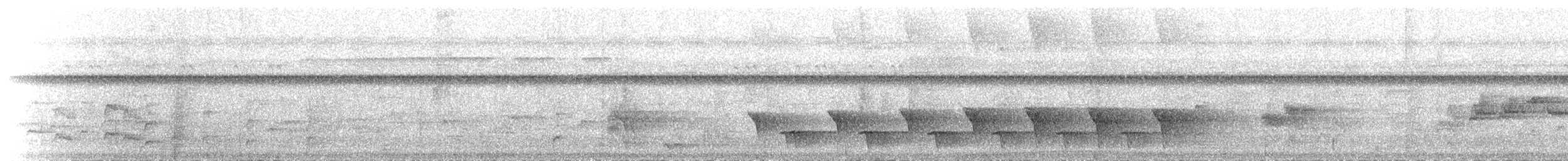 Silbador de la Rennell - ML164740851