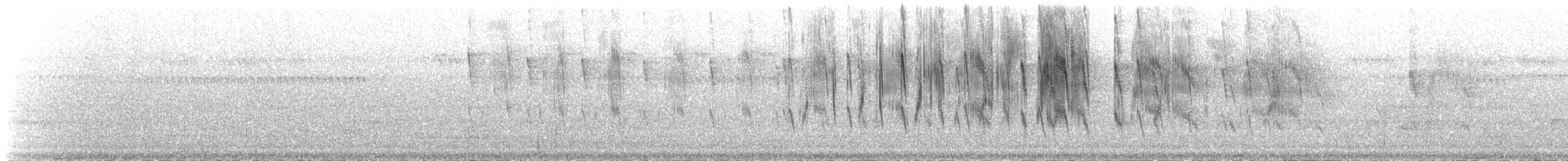 Uniform Swiftlet - ML164743431