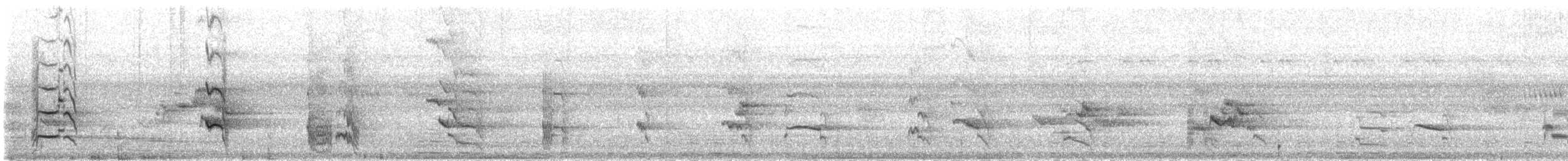 Singing Parrot - ML164743931