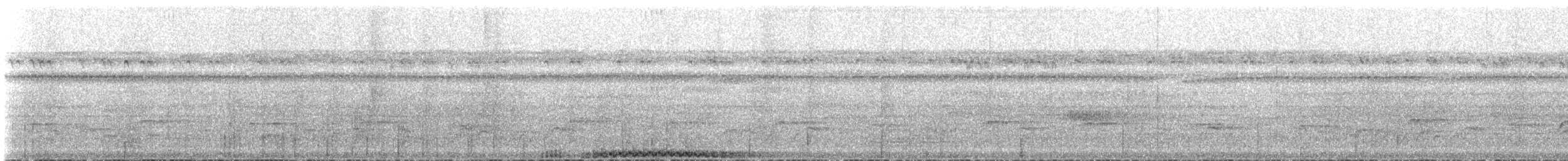 holub pacifický - ML164744641