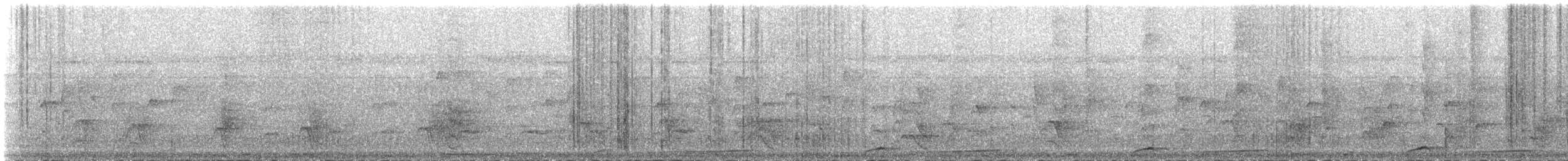 holub skvrnkoprsý - ML164748001