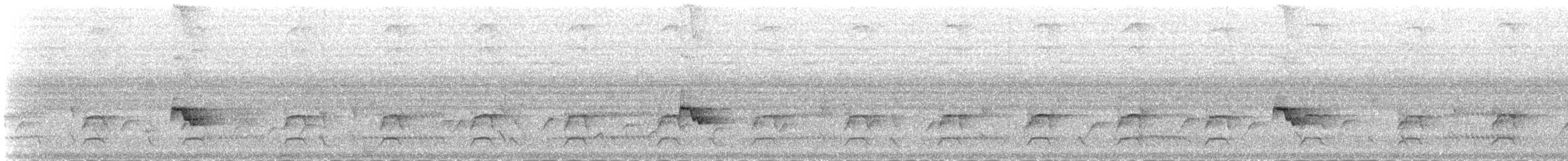 Cardinal Myzomela - ML164748031