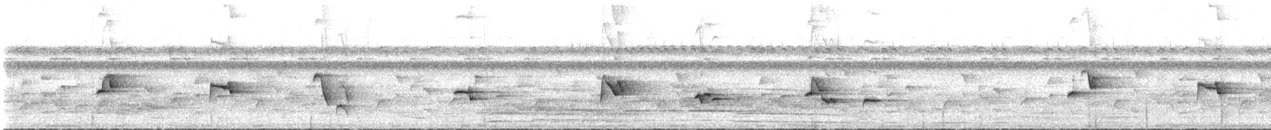 Bare-eyed White-eye - ML164750501