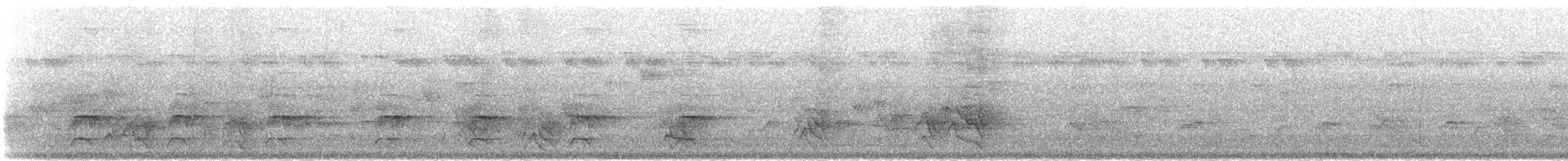 ledňáček pacifický - ML164750601