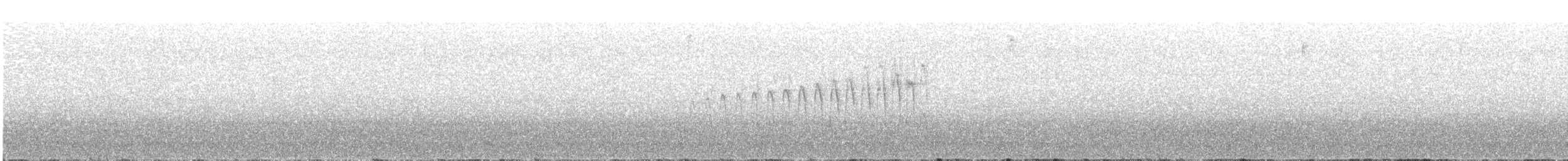 Puna Thistletail - ML164776381