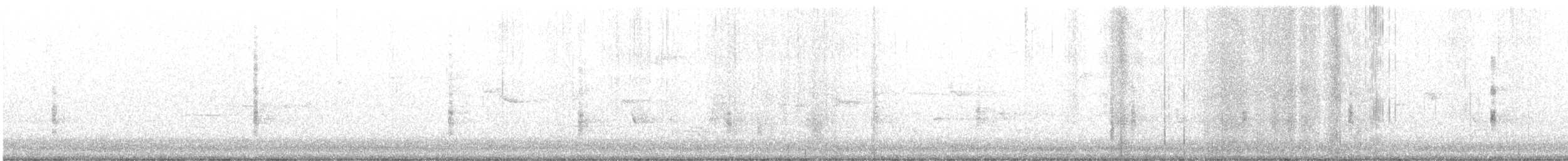 Clapper Rail - ML164807601